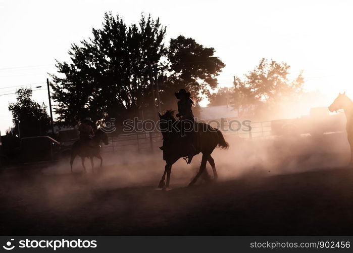 Sunset Silhouette Horse Back Rider Glow Equestrian Rodeo Dusty Arena Riding