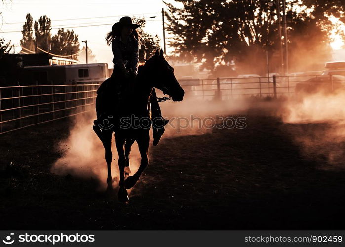 Sunset Silhouette Horse Back Rider Glow Equestrian Rodeo Dusty Arena Riding