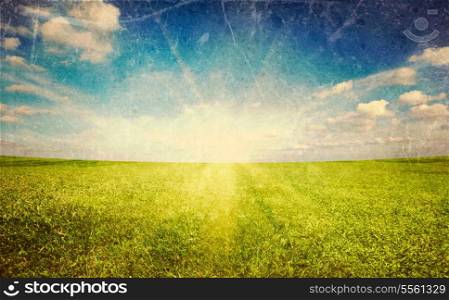 Sunset sun and field of green fresh grass under blue sky