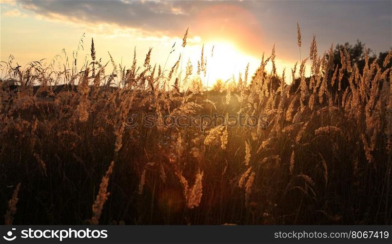 sunset with clouds over field at autumn