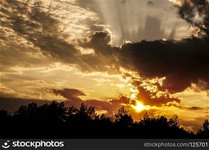 sunset with dark clouds over forest at summer. clouds over forest at summer