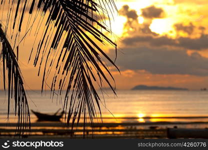 Sunset with palm tree in front and defocused boat in the sea