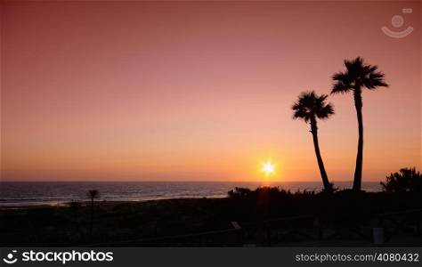 Sunset with palms in Barrosa beach,Cadiz, Spain.