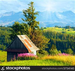 Sunshine above summer mountain village outskirts with pink flowers and wooden shed in front and Tatra range behind (Gliczarow Gorny, Poland)