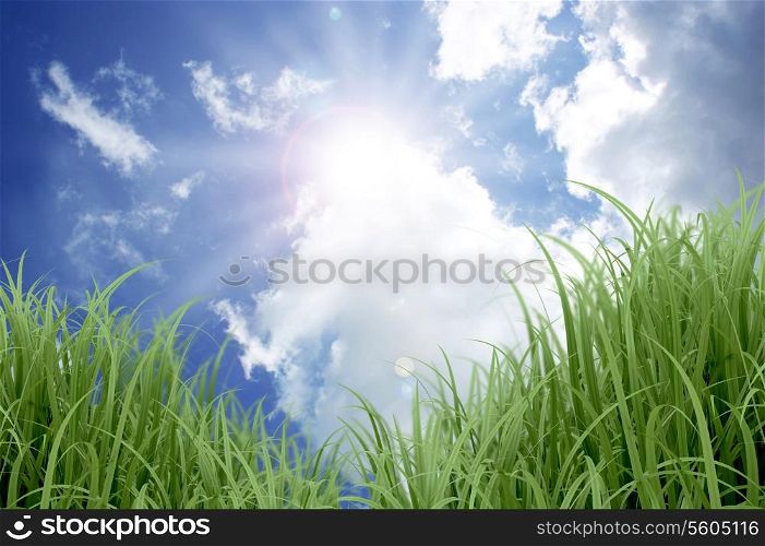 Sunshine in a blue sky with fluffy white clouds with green grass
