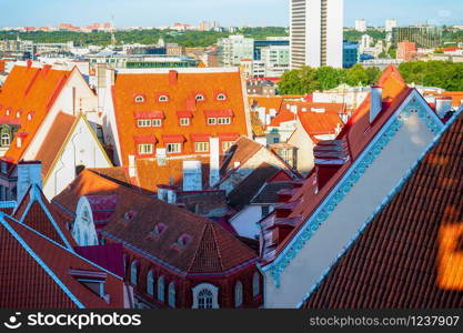 Sunshine over red tiled rooftops of Tallinn old town with houses buildings of traditional architecture, modern skyline in background, Estonia