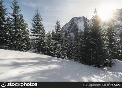 Sunshine over snowy nature. Winter sunny day in the snow-capped mountain peaks and snowy trees. Dreamy Christmas travel location. Winter scenery.