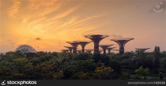 Supertree Grove. Garden by the bay in Marina Bay area at sunrise, Singapore City.