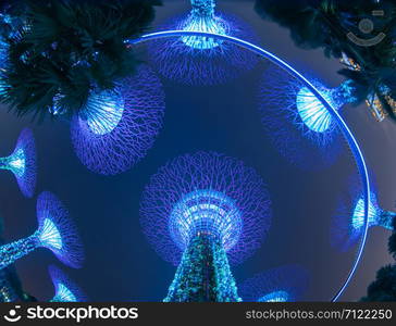 Supertree Grove. Garden by the bay or outdoor artificial trees in Marina Bay area in urban city of Singapore Downtown at night. Landscape background