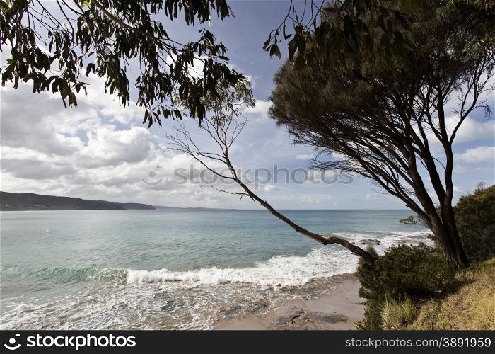 Surf beach along the coast Great Ocean Road in Victoria, Australia