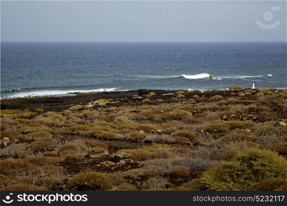 surf coastline lanzarote in spain musk pond beach water yacht boat and summer