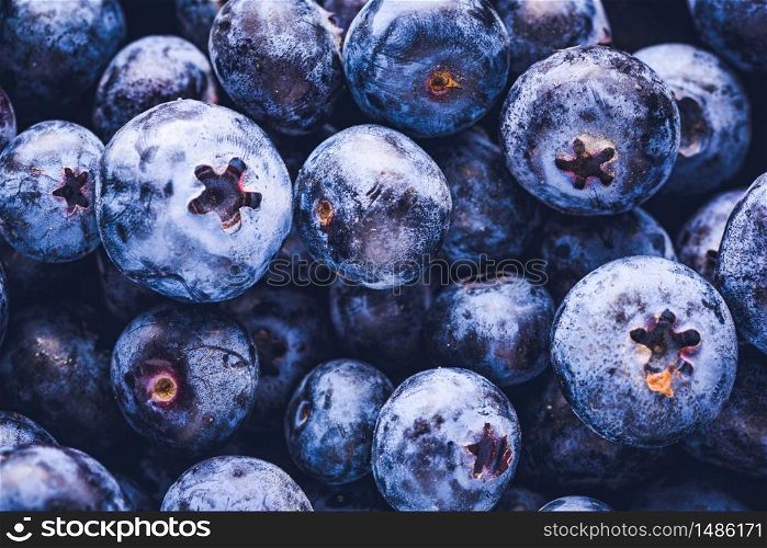 Surface is covered with a thick layer of blueberries. Natural background. Vaccinium uliginosum bog bilberry, bog blueberry, antioxidant food.. Surface is covered with a thick layer of blueberries. Natural background. Vaccinium uliginosum bog bilberry, bog blueberry, heath food.