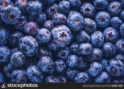 Surface is covered with a thick layer of blueberries. Natural background. Vaccinium uliginosum bog bilberry, bog blueberry, antioxidant food.. Surface is covered with a thick layer of blueberries. Natural background. Vaccinium uliginosum bog bilberry, bog blueberry, heath food.