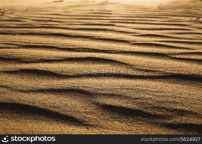 Surface level shot of the desert and the wind pattern on the sand