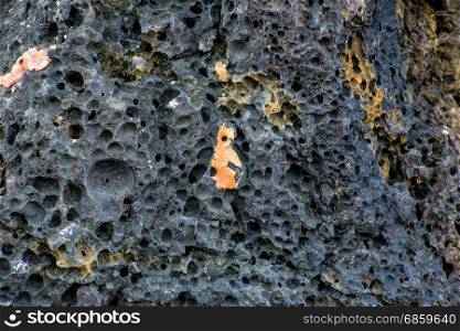 surface of a volcanic rock