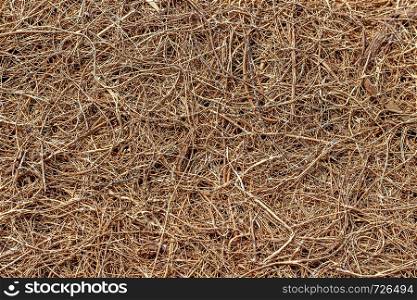 Surface of dry pressed coconut fiber. Nature brown background or seamless texture.