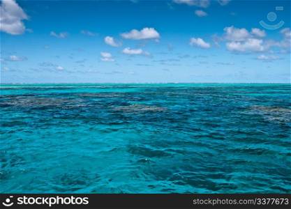 Surface of the Great Barrier Reef near Port Douglas, Australia