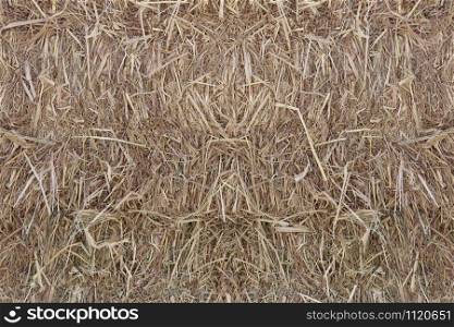 Surface of the rice straw for the design nature texture background.