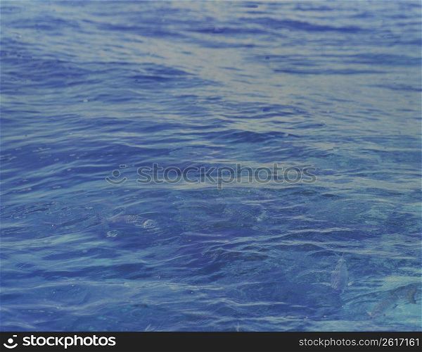 Surface of the sea,Surface