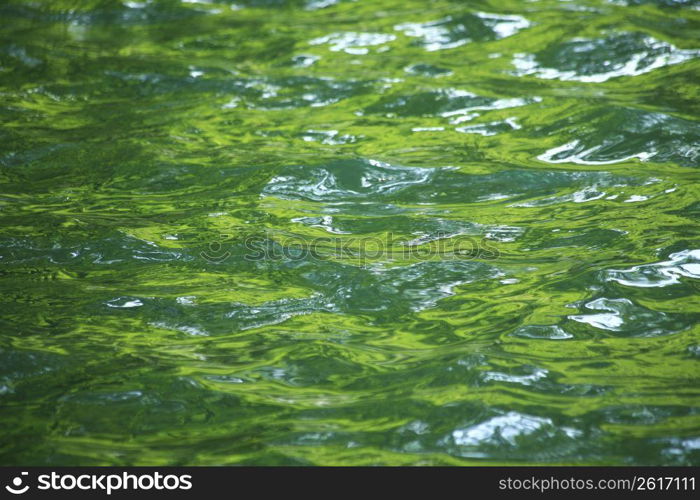 Surface of the water