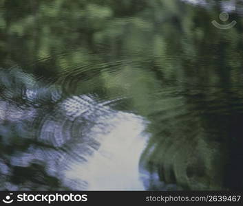 Surface of the water