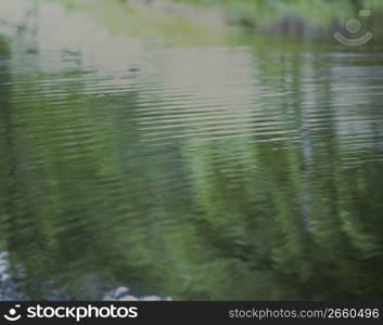 Surface of the water