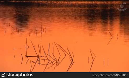 surface of the water at sunset