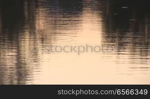 surface of the water at sunset