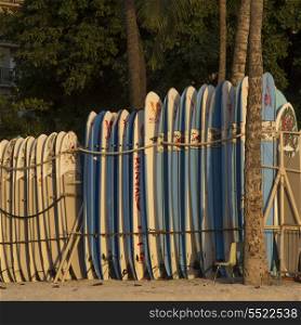 Surfboards lined up on the beach, Waikiki, Honolulu, Oahu, Hawaii, USA