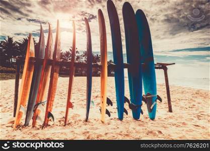 Surfboards, many different surf boards on the beach, water sport, happy active summer vacation