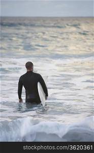 Surfer carrying surfboard into sea, back view