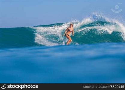 Surfer girl surfs a wave in Indian ocean.