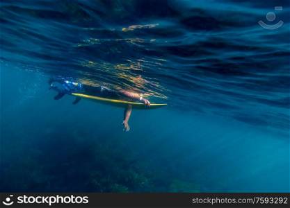 Surfer on a board, Underwater view