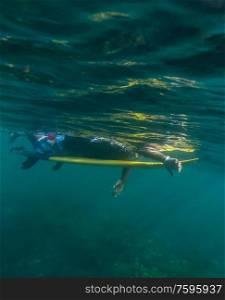 Surfer on a board, Underwater view
