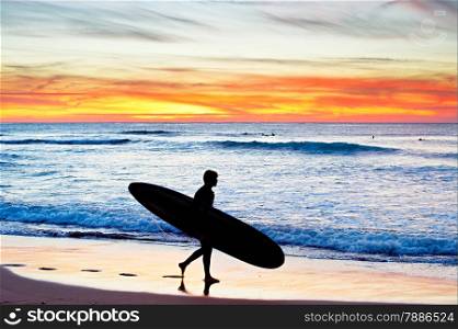 Surfer with surfboard walking on the beach at sunset. Portugal