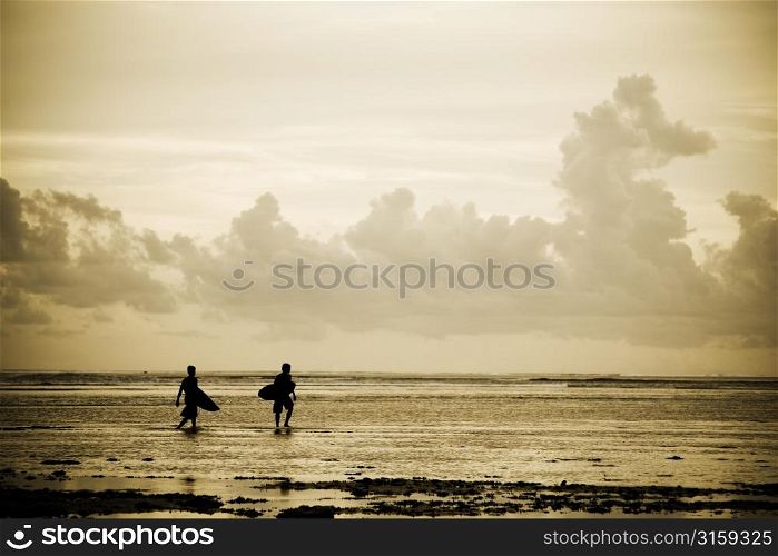 Surfers at the beach