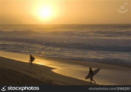 Surfers on Beach at Sunset