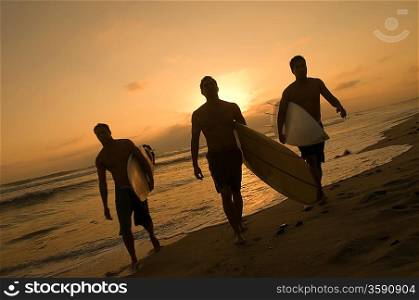 Surfing Buddies