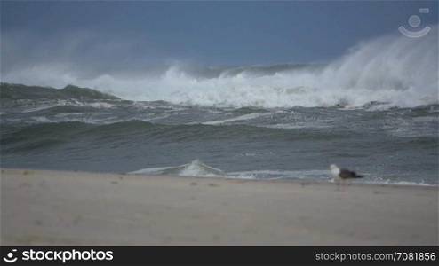 Surging storm waves in slow mo