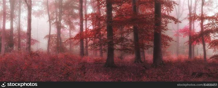 Surreal alternate color fantasy Autumn Fall forest landscape conceptual image
