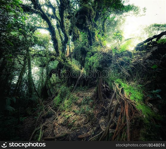 Surreal colors of fantasy landscape at mystical tropical mossy forest with amazing jungle plants. Concept for mysterious nature and fairy tale background