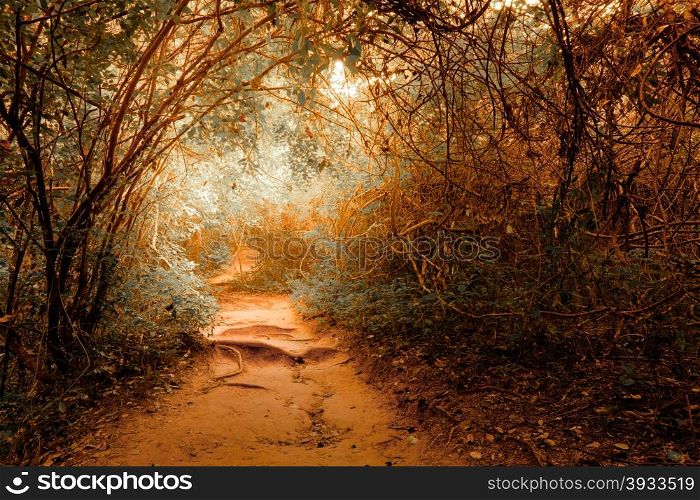 Surreal colors of fantasy landscape at tropical jungle forest with tunnel and path way through lush