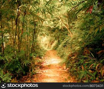 Surreal colors of fantasy landscape at tropical jungle forest with tunnel and path way through dense vegetation