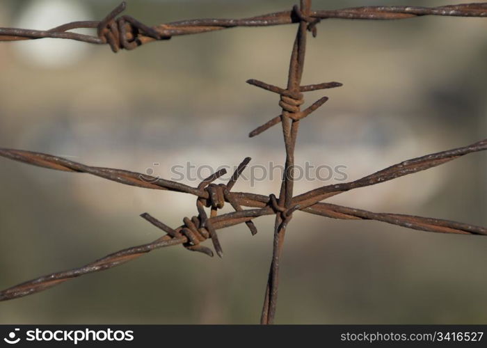 surrounded by rusted barbed wire fence of thorns