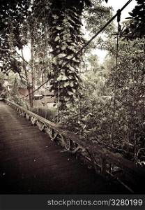 Suspension bridge in Bali