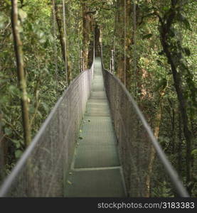 Suspension Bridge in Costa Rica