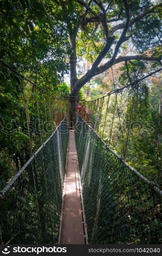 Suspension bridge in Taman Negara national park, Malaysia. Suspension bridge, Taman Negara national park, Malaysia