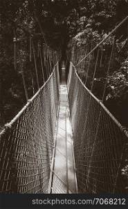 Suspension bridge in Taman Negara national park, Malaysia. Suspension bridge, Taman Negara national park, Malaysia