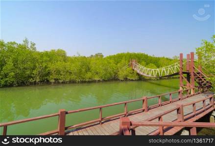 Suspension bridge in tropical mangrove forest, Thailand