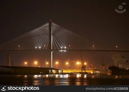 Suspension bridge lit up at night, Talmadge Bridge, Savannah River, Savannah, Georgia, USA